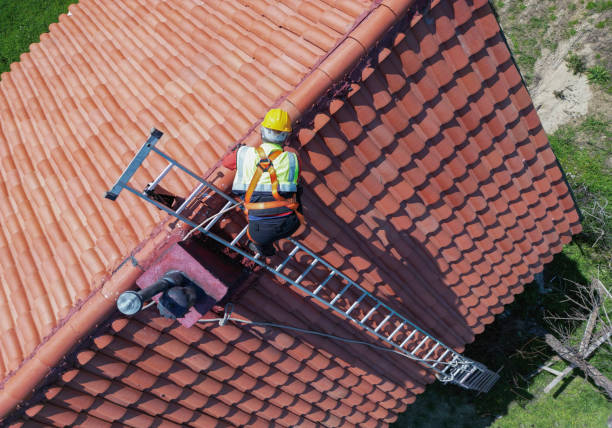 Best Roof Maintenance and Cleaning  in Terrytown, LA